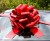 MEGA Giant Car Bow (42cm diameter) with 6m Ribbon - HOLOGRAPHIC RED